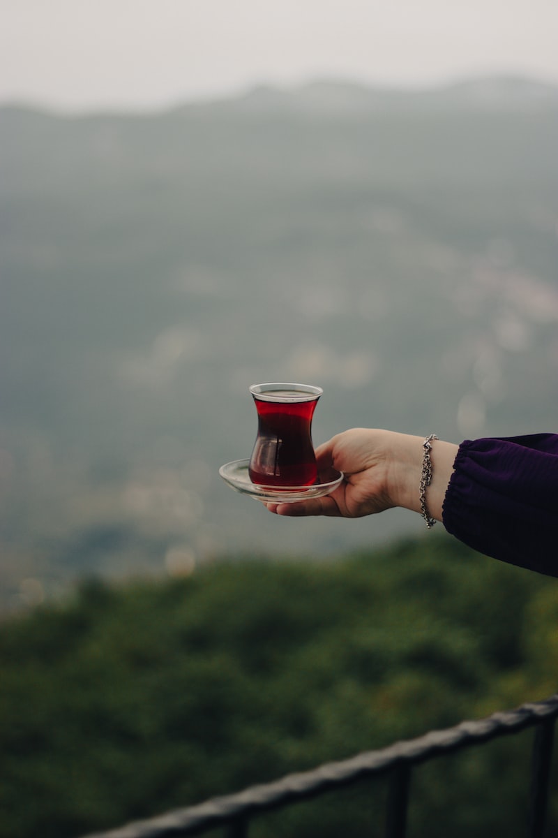 Kumru Kuşlarının Yavru Bakımı